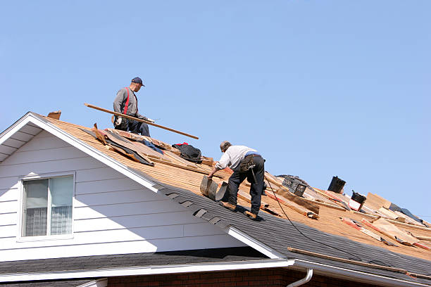 Best Commercial Roofing Services  in Painesville, OH